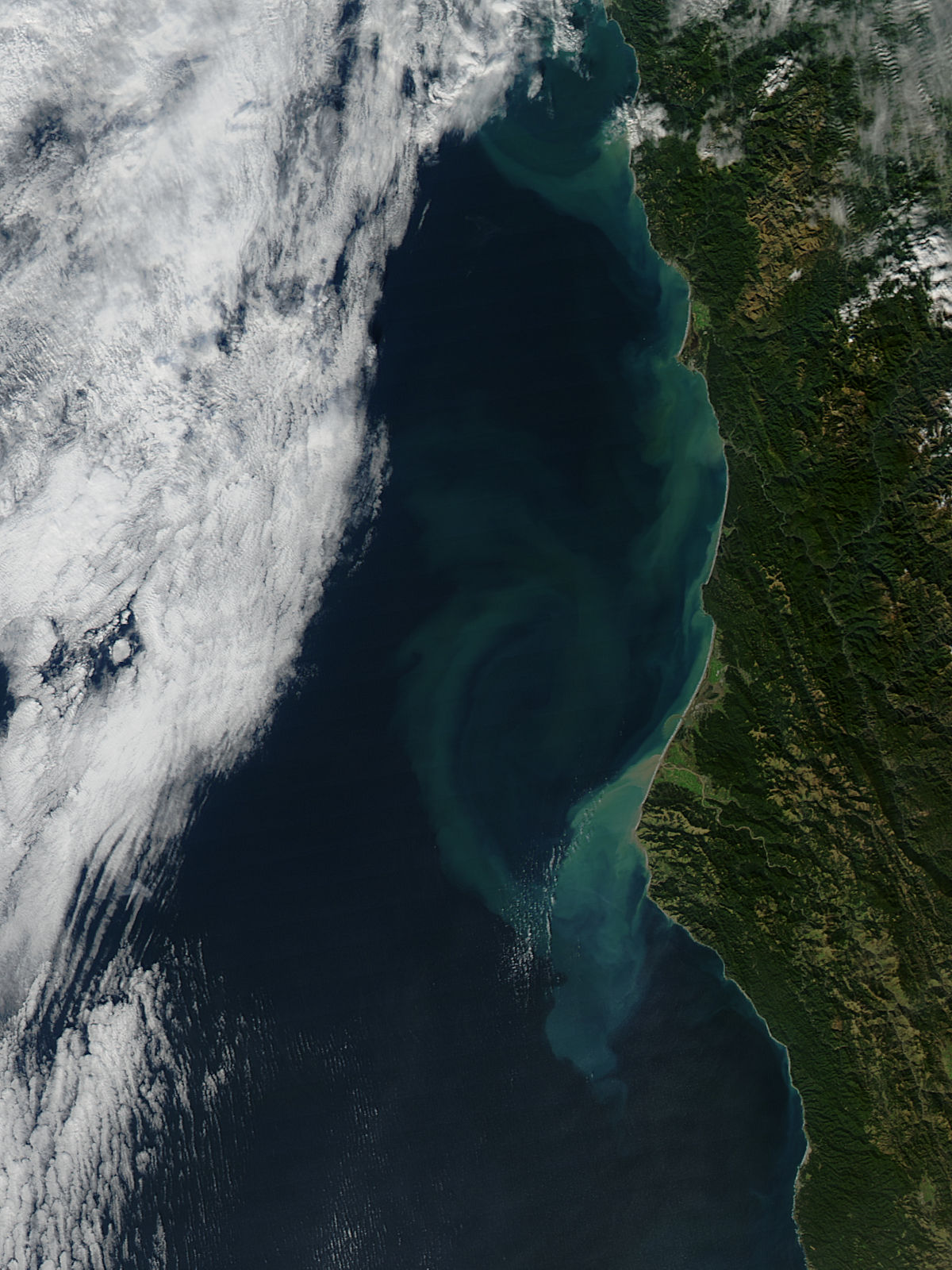 Sediment off northern California - related image preview
