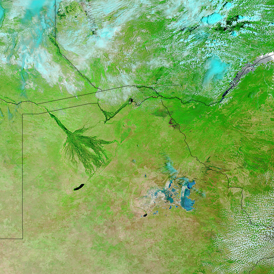 Okavango delta flooding (false color) - related image preview