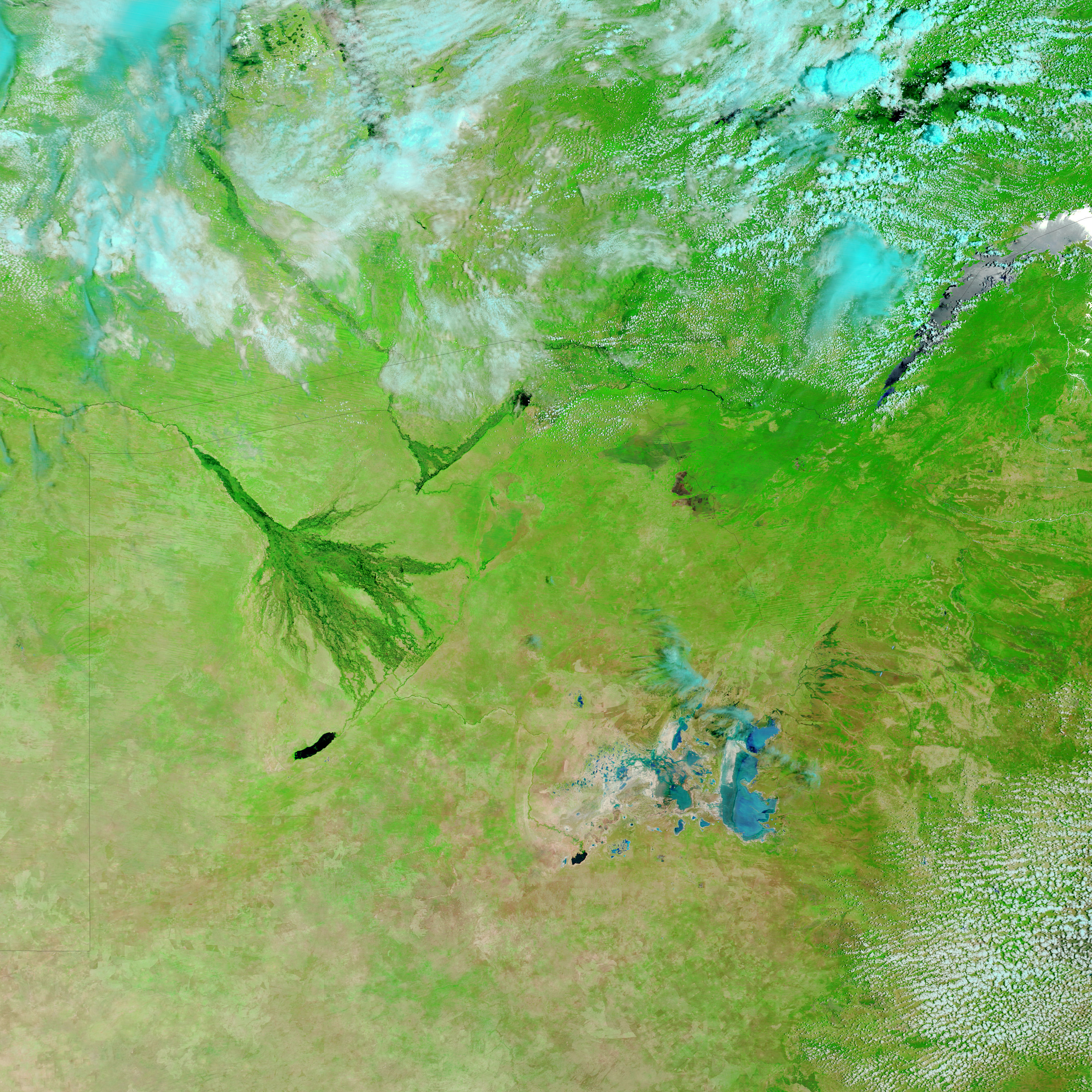 Okavango delta flooding (false color) - related image preview