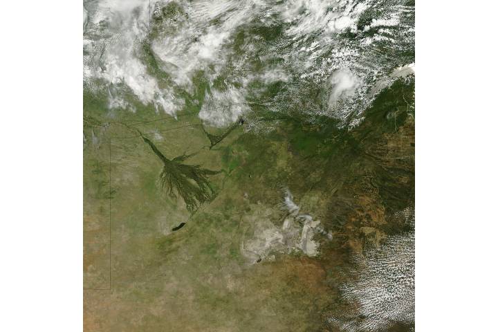 Okavango delta flooding (true color)