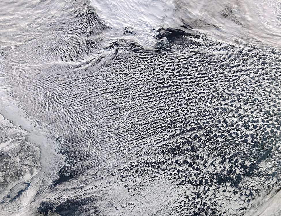 Cloud Streets in the Labrador Sea - related image preview