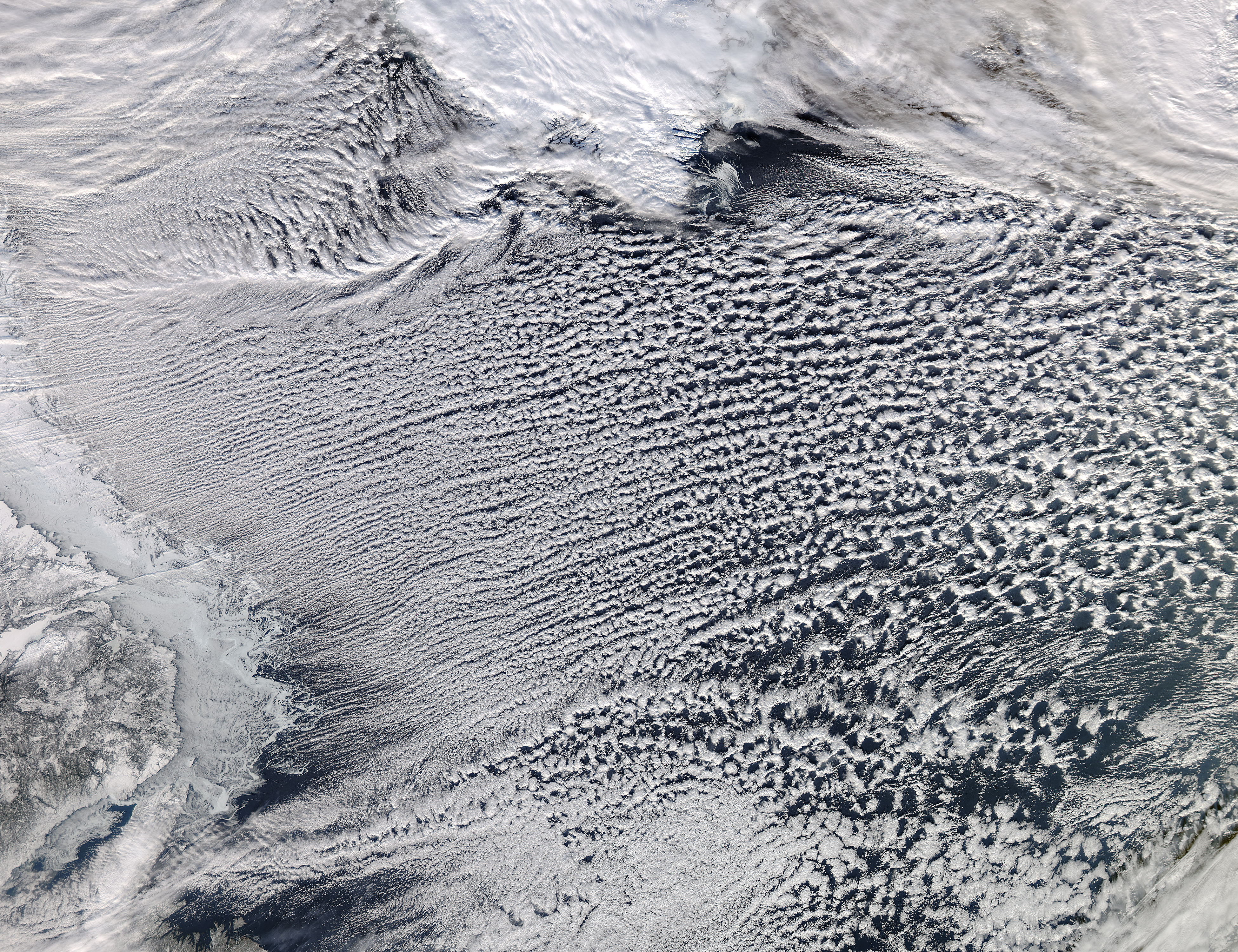 Cloud Streets in the Labrador Sea - related image preview