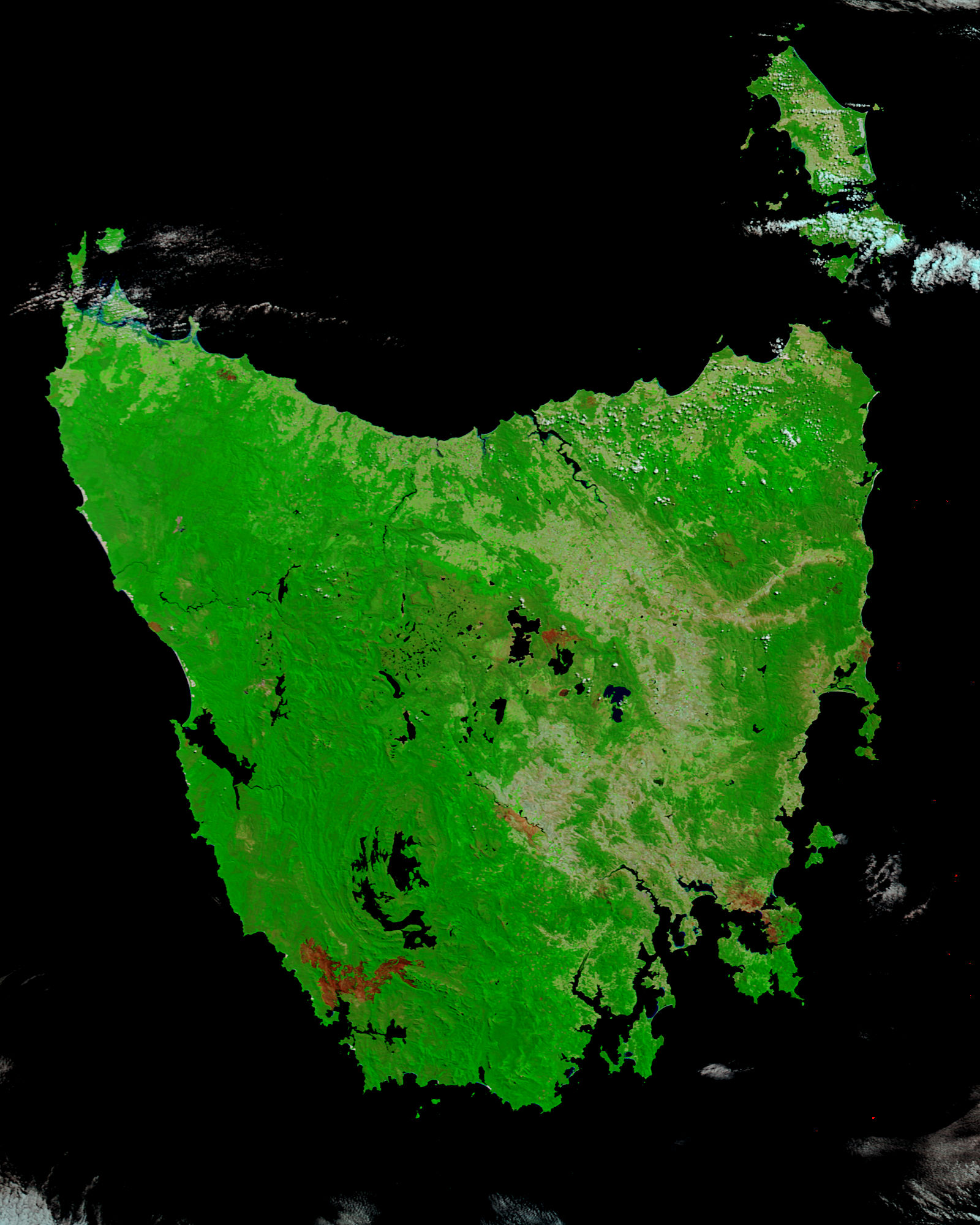 Burn scars in Tasmania (false color) - related image preview