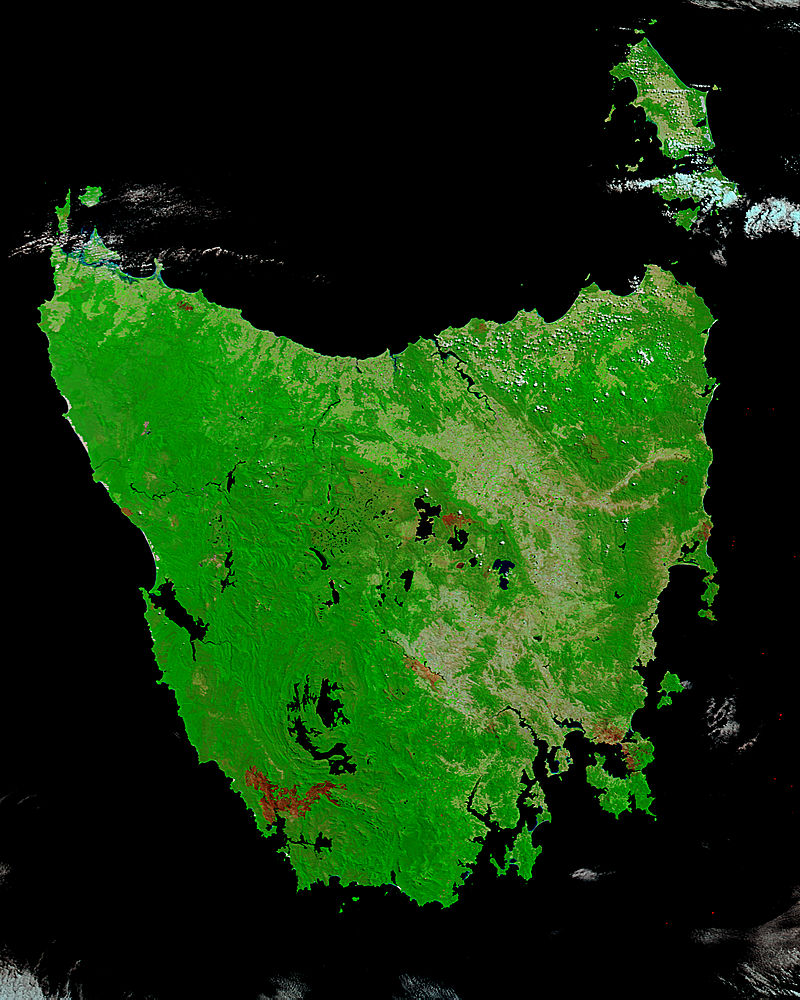 Burn scars in Tasmania (false color) - related image preview