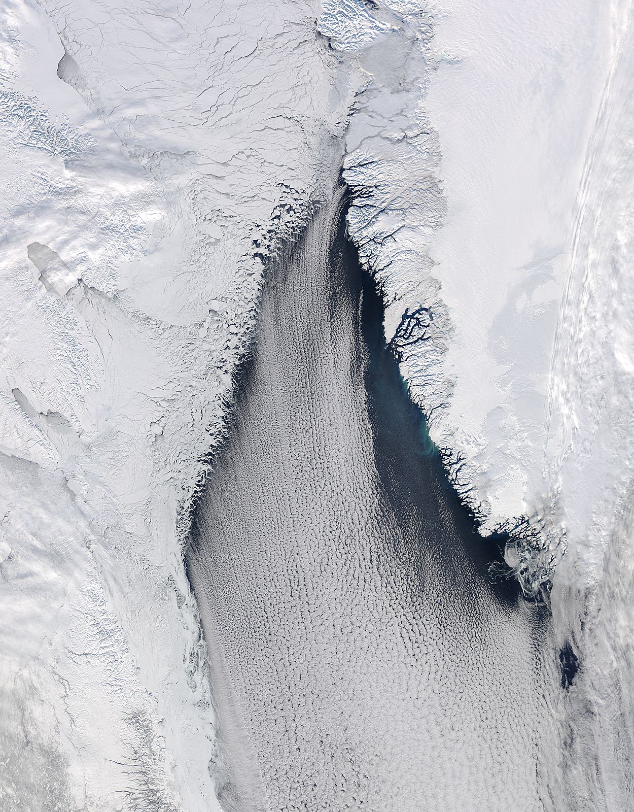Cloud streets in Davis Strait - image thumbnail