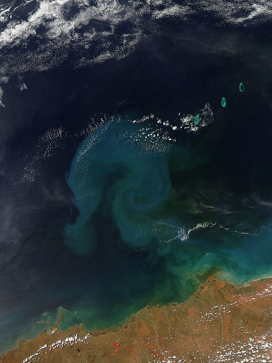 Sediment from Tropical Cyclone Rusty - related image preview