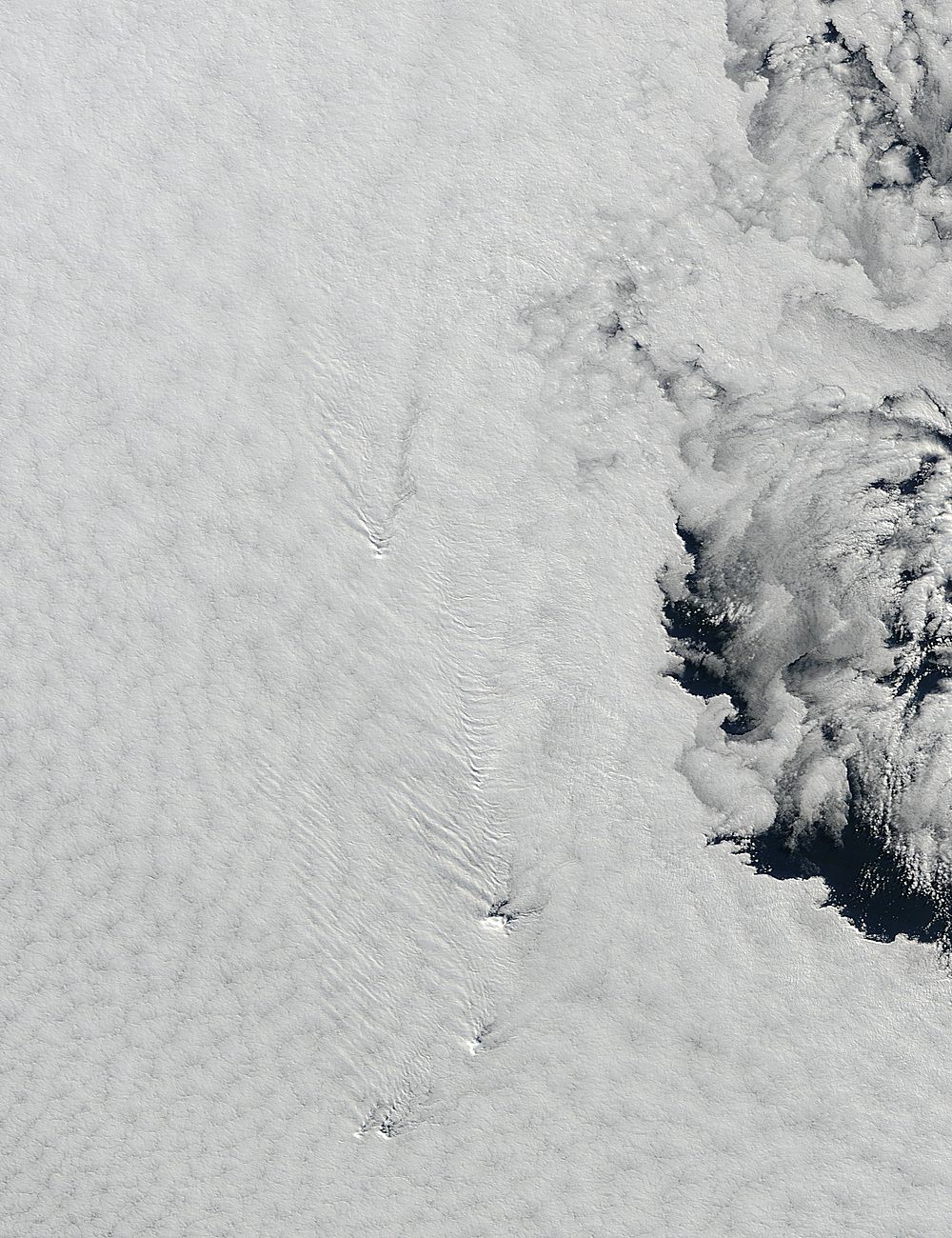 Plume from Mount Michael volcano, South Sandwich Islands (true color) - related image preview