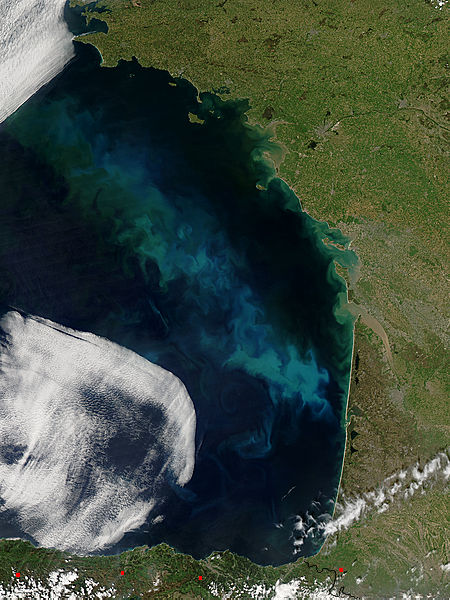 Phytoplankton bloom in the Bay of Biscay - related image preview