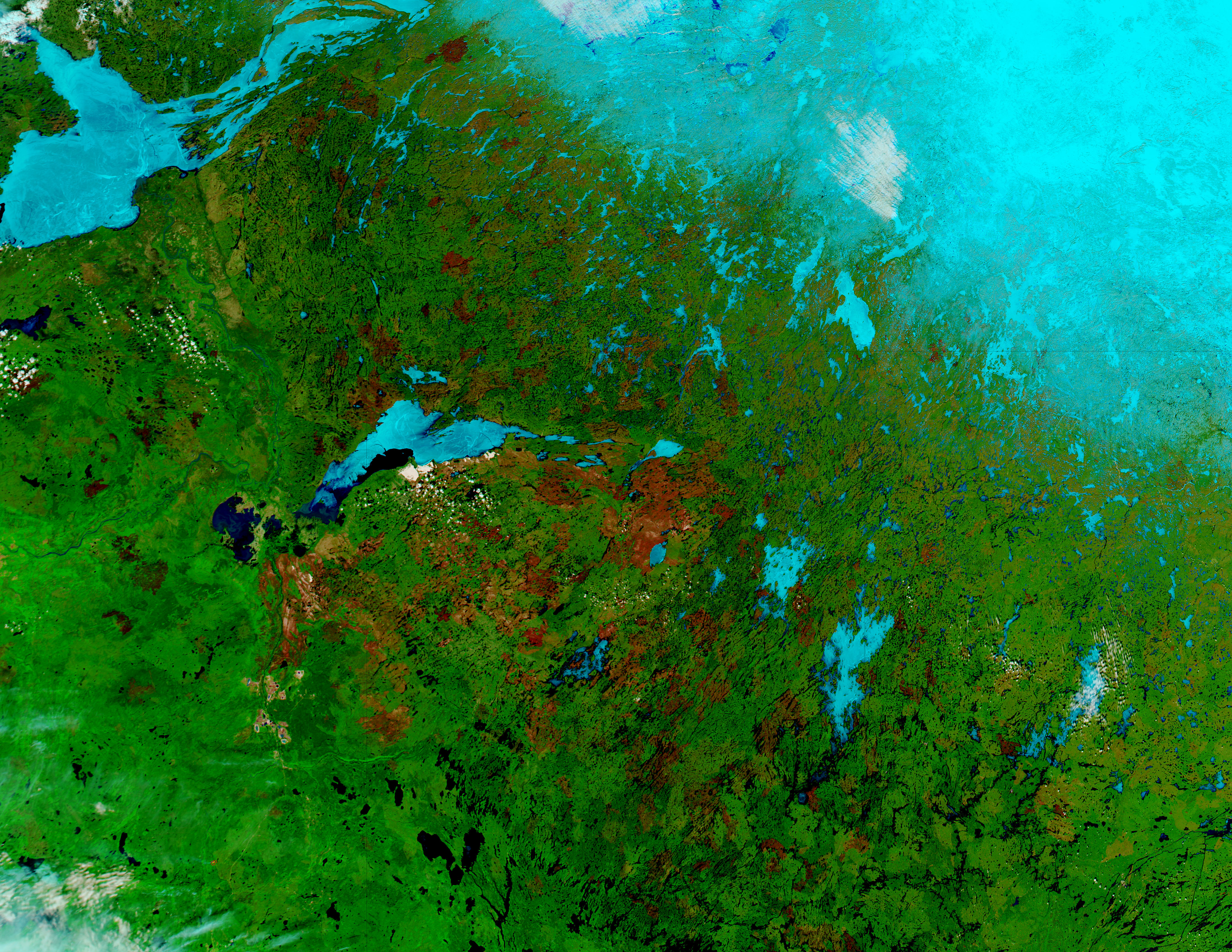 Burn scars from previous years, Canada (false color) - related image preview