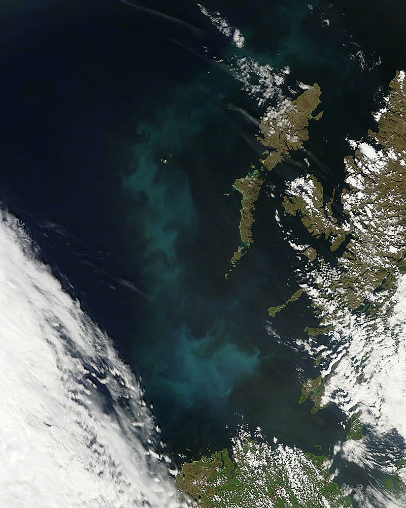 Phytoplankton bloom off the Hebrides - related image preview