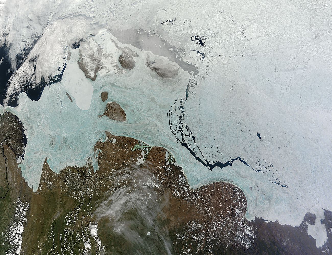 Sea ice in the East Siberian and Laptev Seas - related image preview