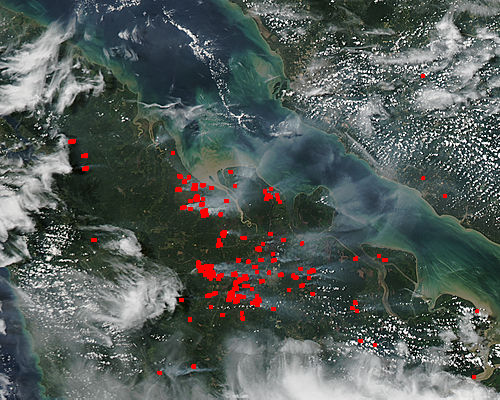 Fires and smoke in Sumatra, Indonesia - related image preview