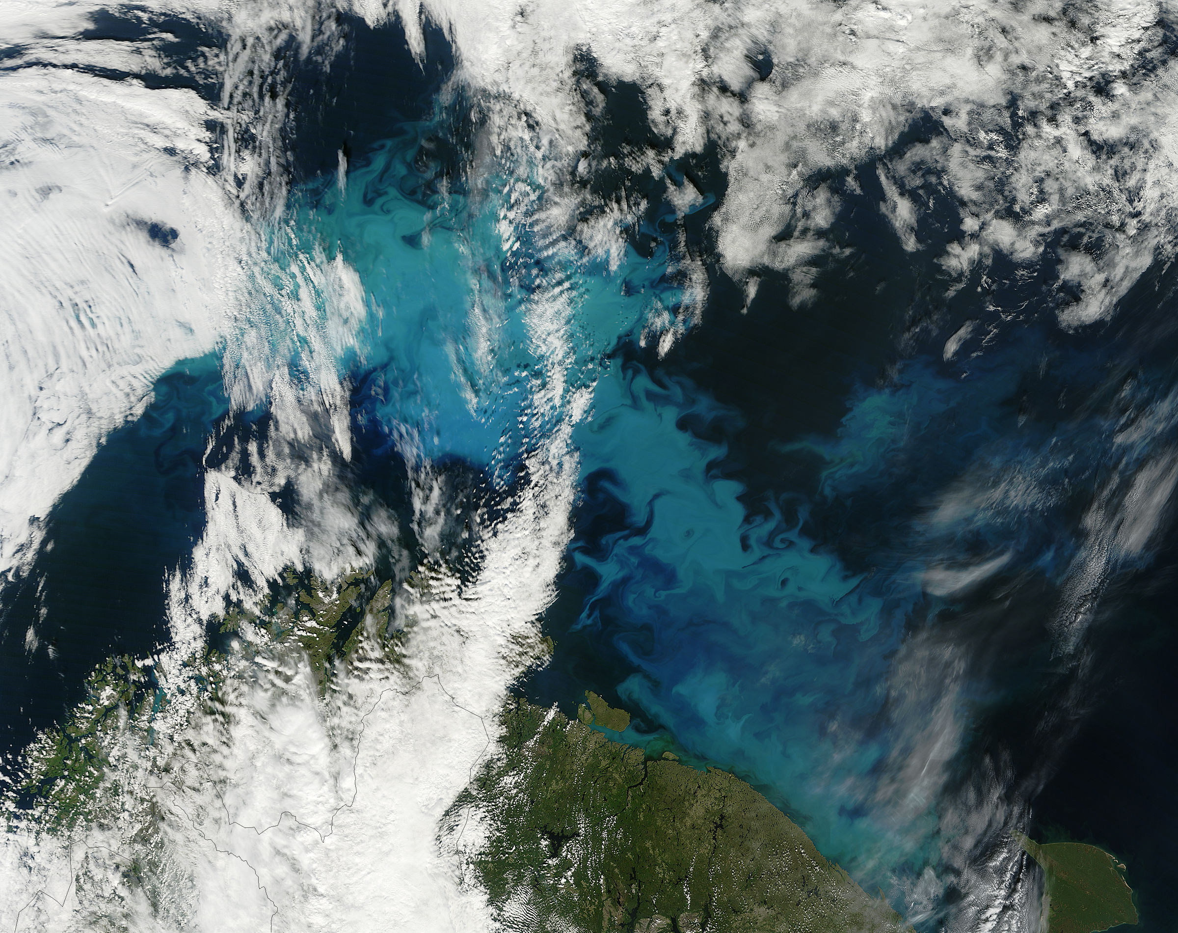 Phytoplankton bloom in the Barents Sea - related image preview