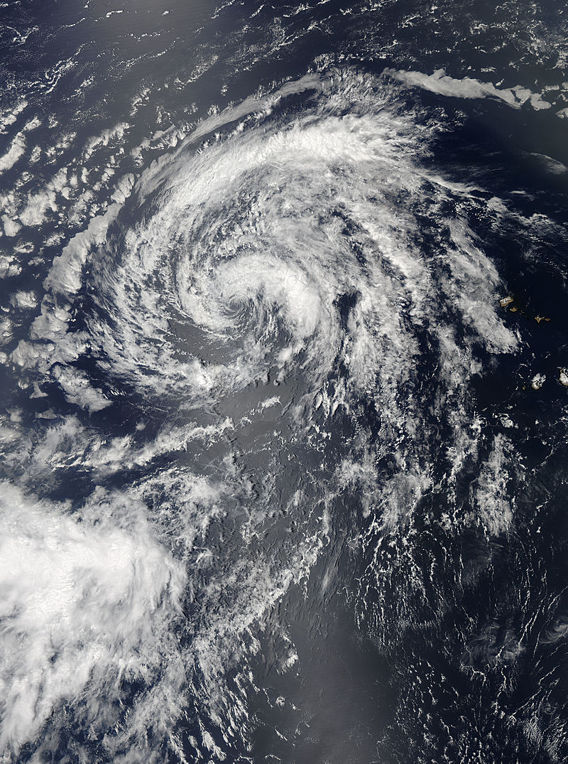 Tropical Storm Erin (05L) in the Atlantic - related image preview