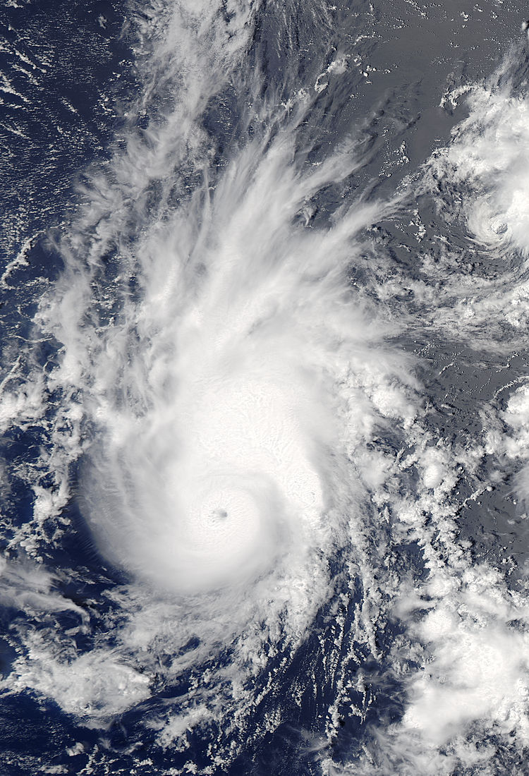 Typhoon Pewa (01C) in the central Pacific Ocean - related image preview