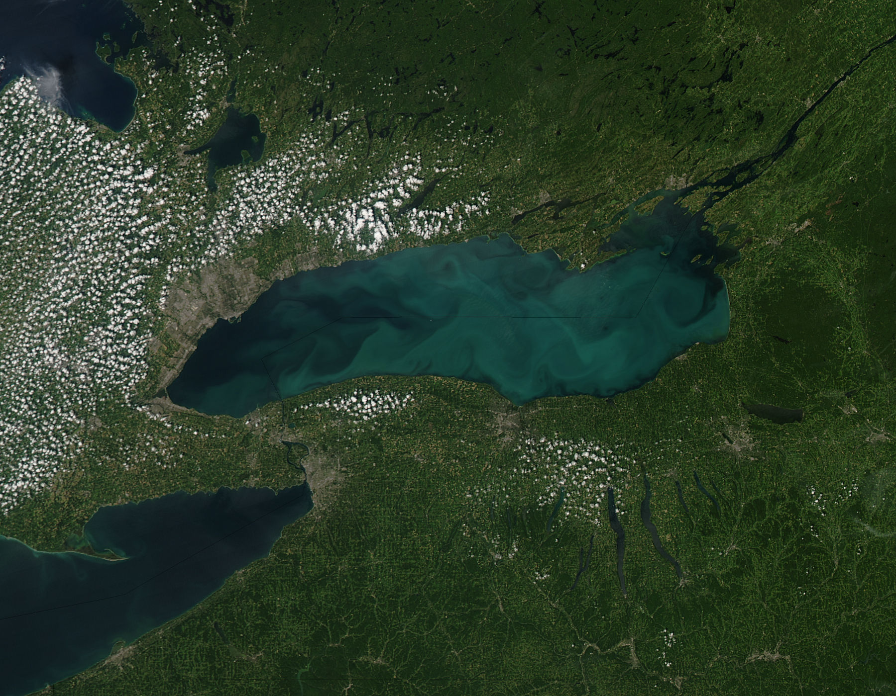 Whiting event in Lake Ontario - related image preview