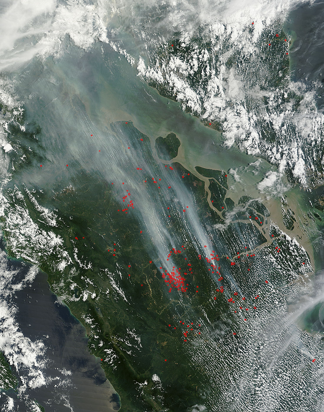 Fires and smoke in Sumatra, Indonesia - related image preview