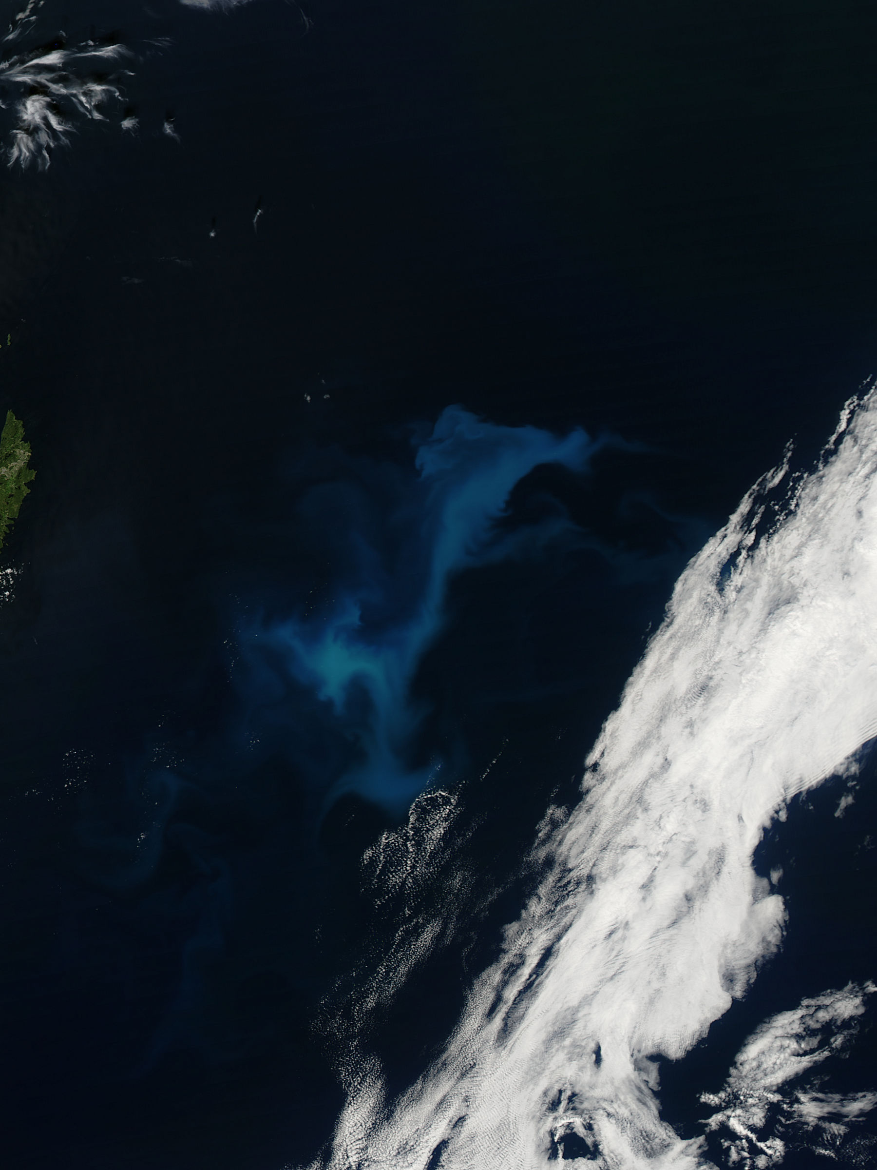 Phytoplankton bloom off Newfoundland - related image preview
