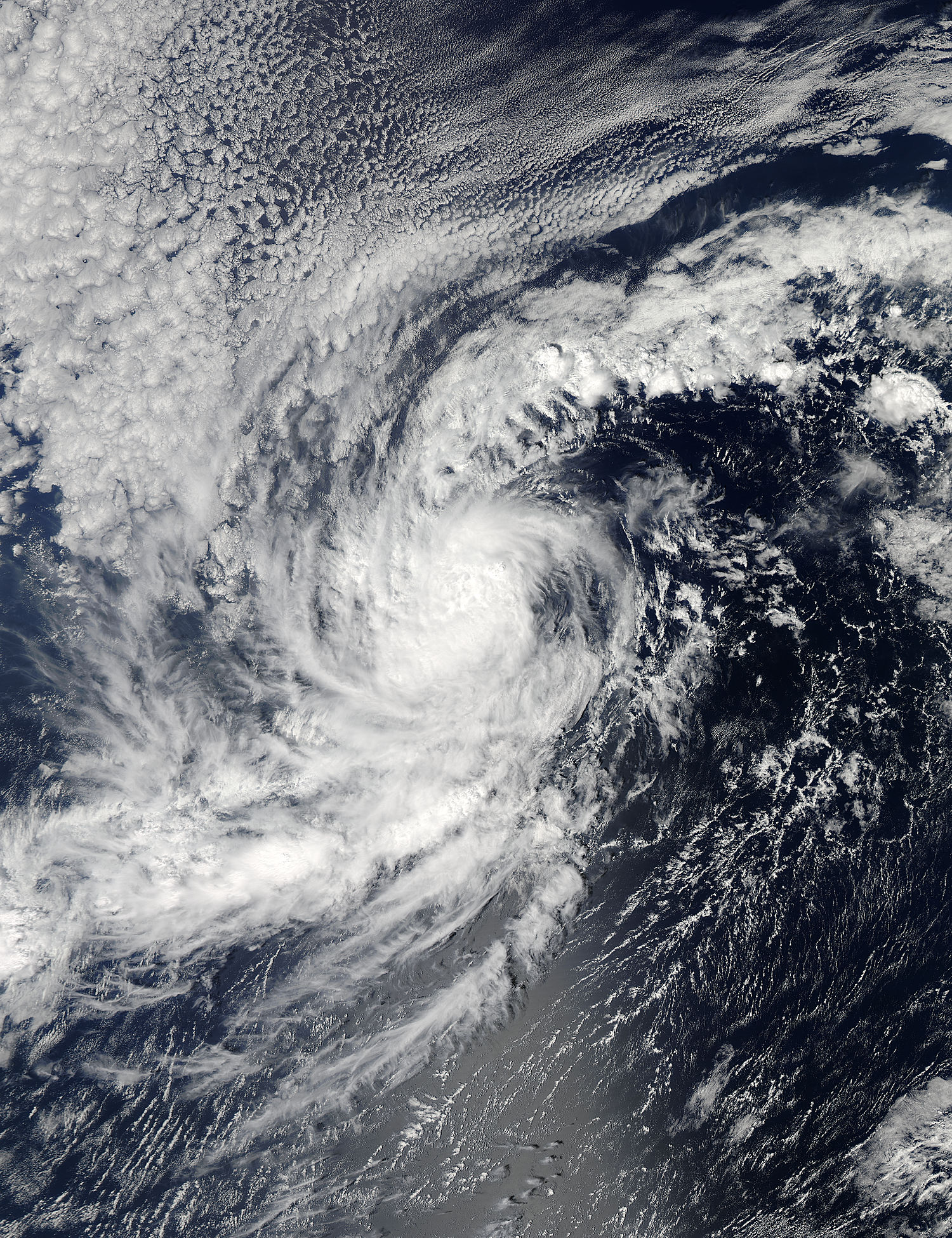Tropical Storm Narda (14E) in the Pacific Ocean - related image preview