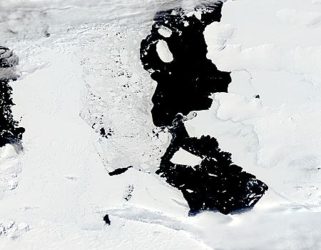 Iceberg from Pine Island Glacier, Antarctica - related image preview