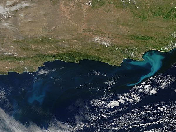 Phytoplankton blooms off South Africa - related image preview