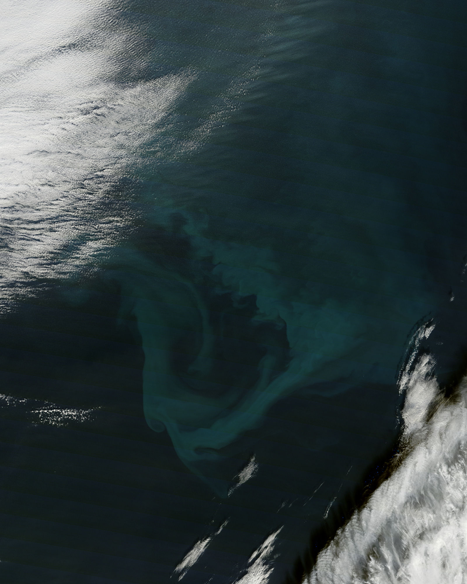 Phytoplankton bloom in the North Atlantic Ocean - related image preview