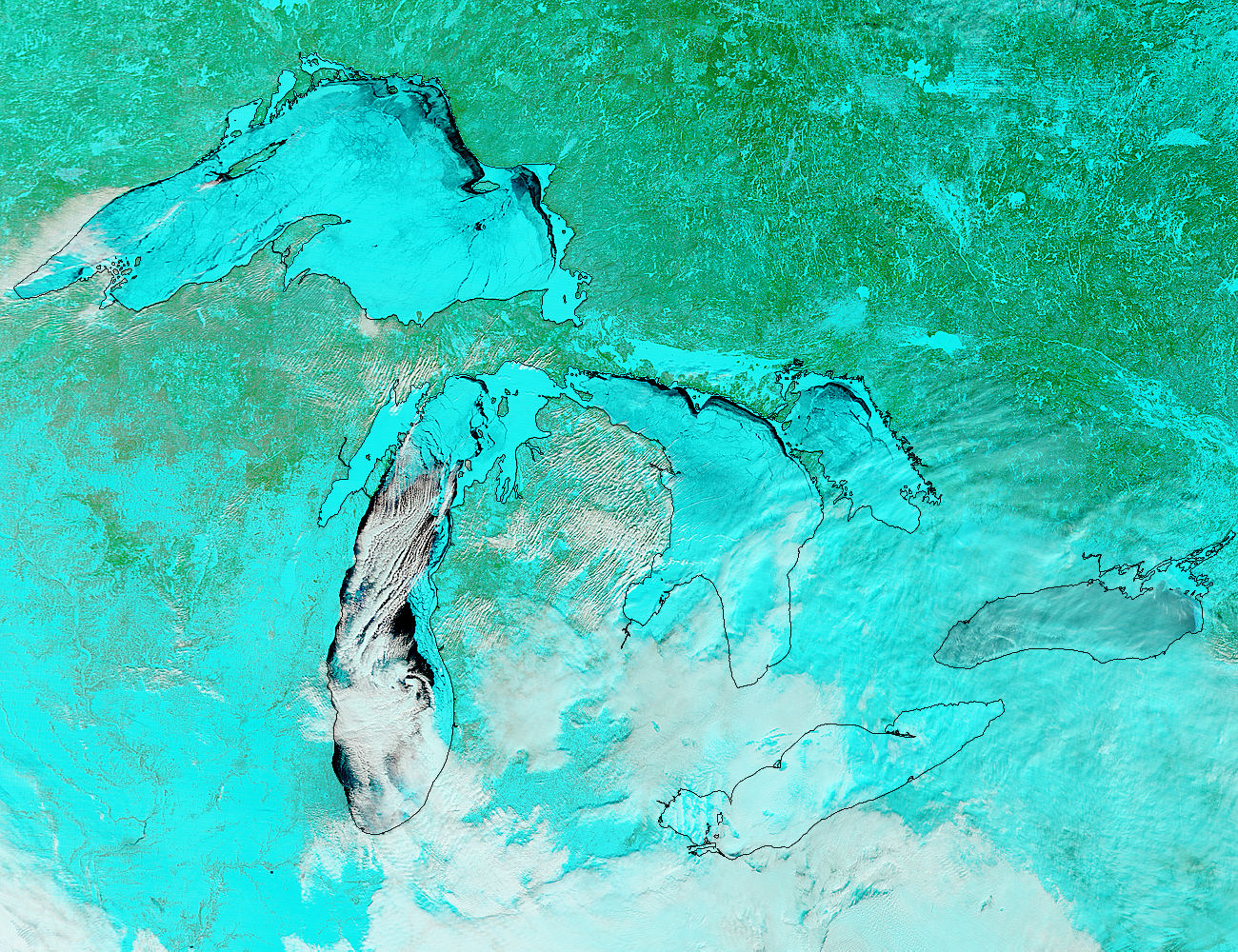 Ice on the Great Lakes (false color) - related image preview