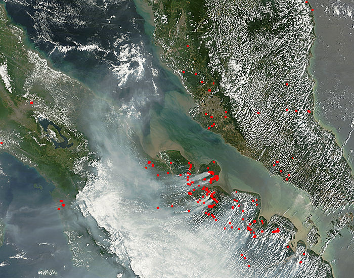 Fires and smoke on Sumatra (morning overpass) - related image preview