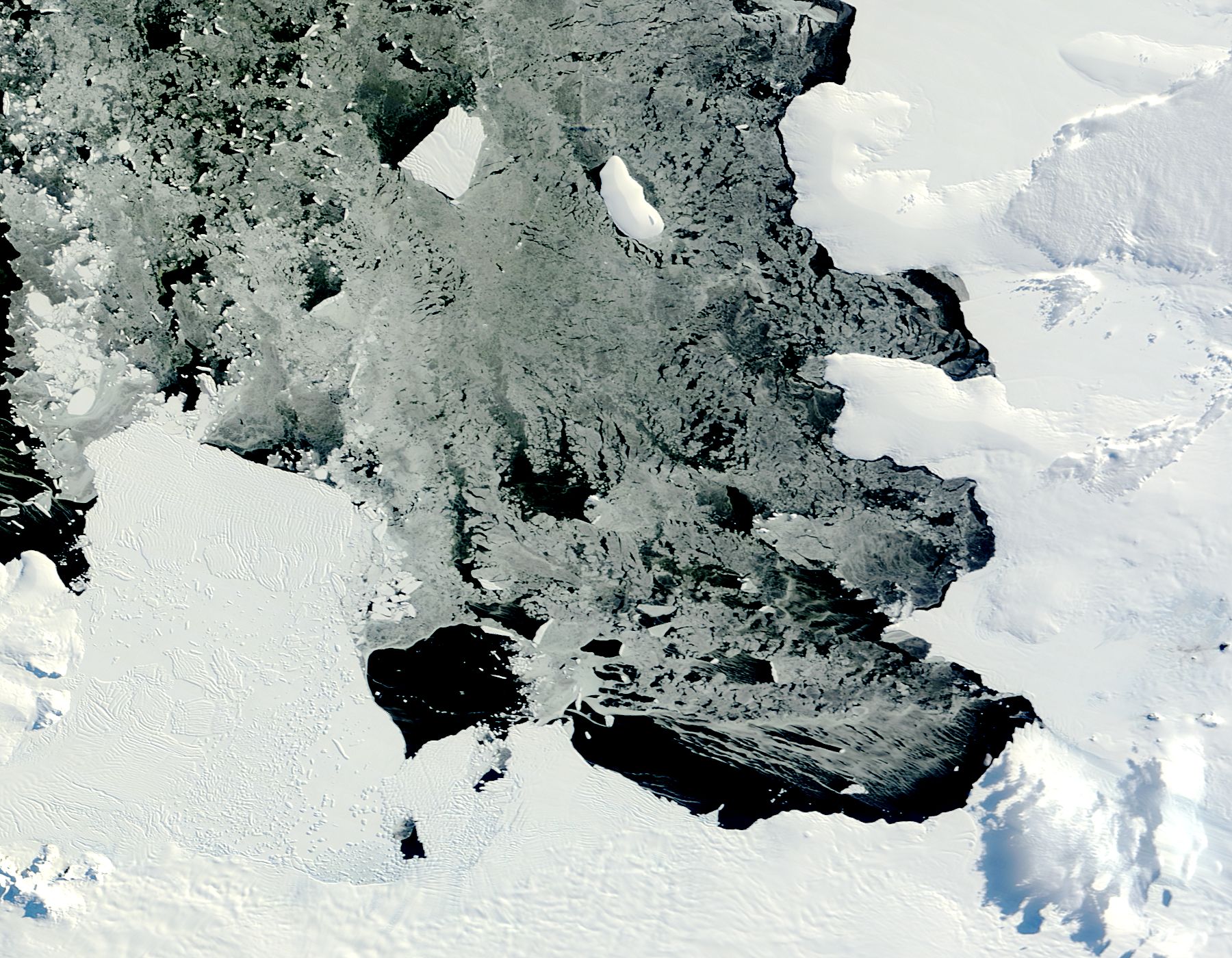 Iceberg from Pine Island Glacier, Antarctica - related image preview