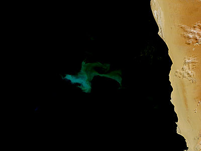 Phytoplankton bloom off Namibia - related image preview