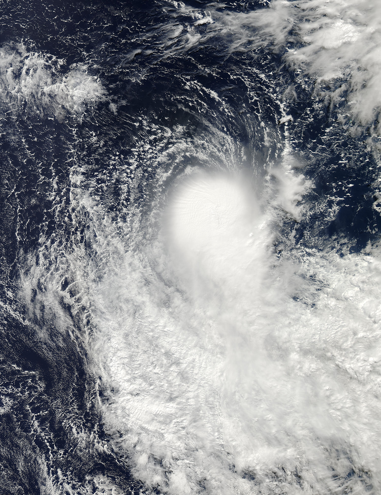 Tropical Cyclone Jack (24S) in the South Indian Ocean - related image preview