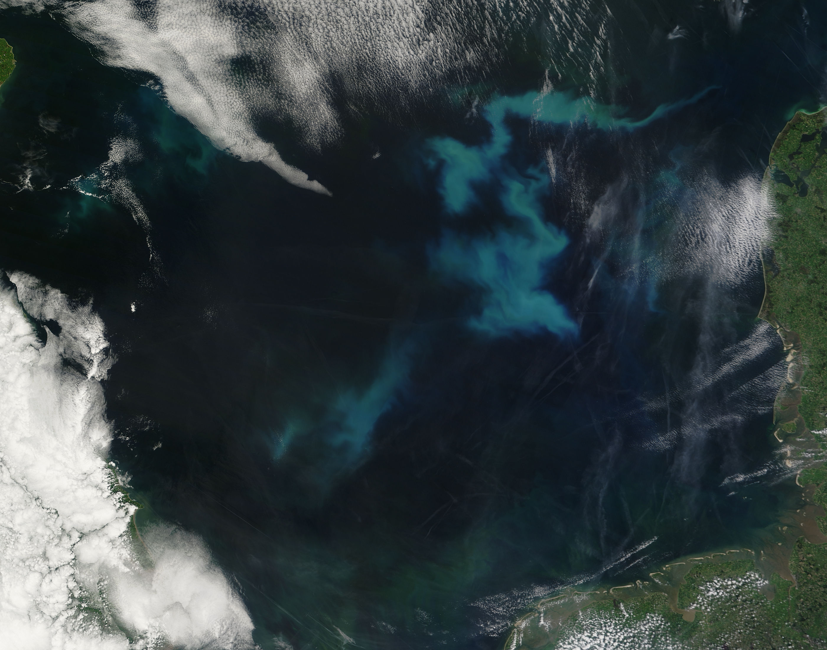 Phytoplankton bloom in the North Sea - related image preview
