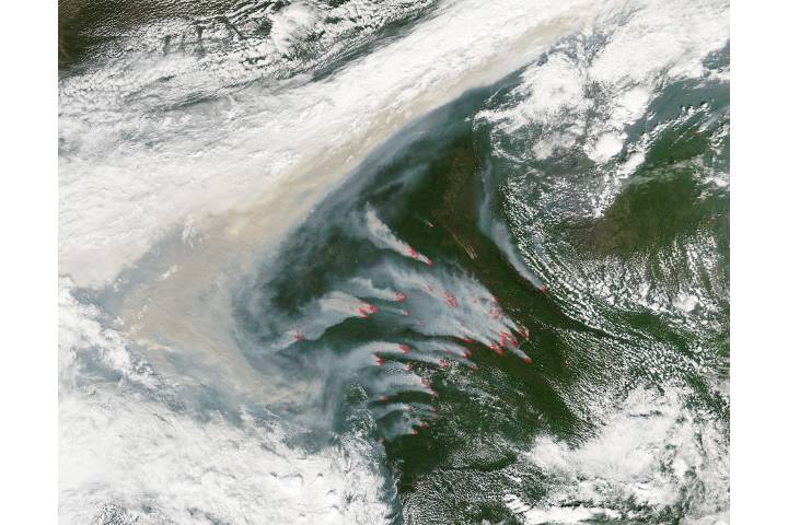 Fires and smoke in eastern Russia - related imagethumbnail