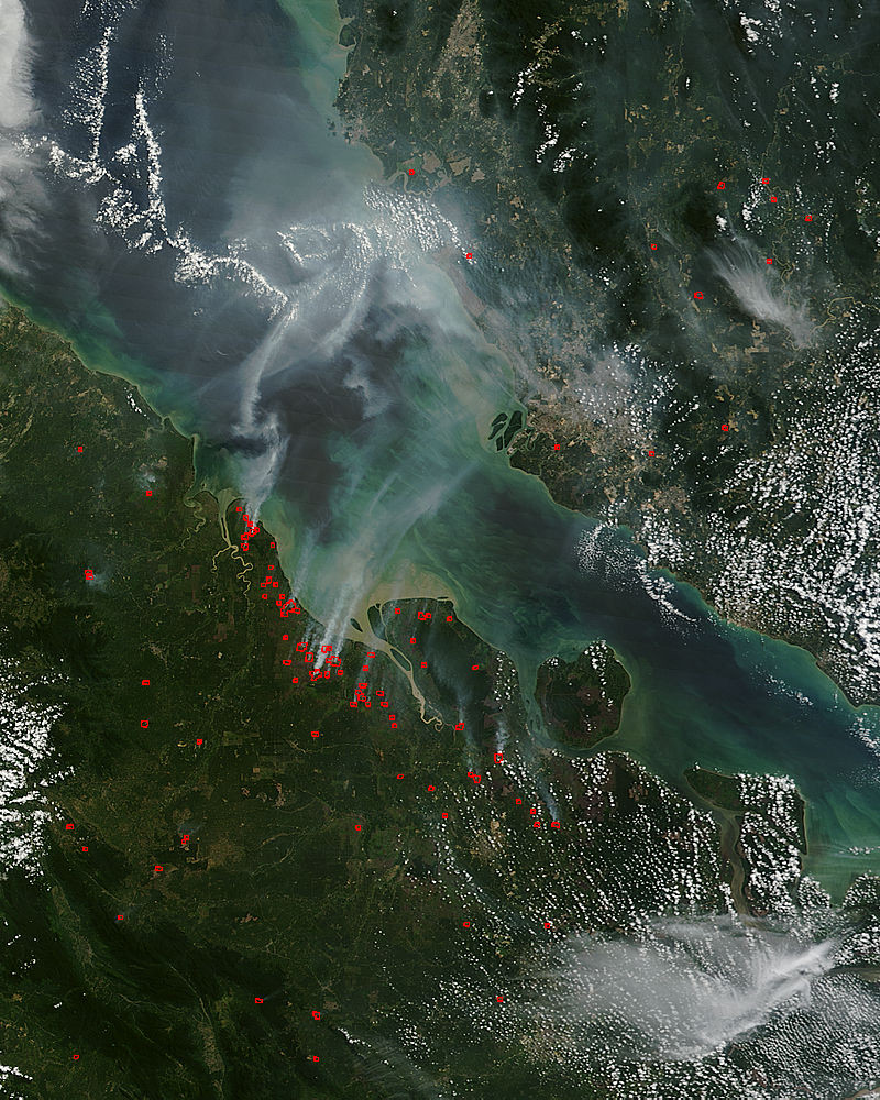 Fires In Sumatra, Indonesia