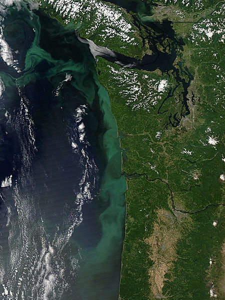 Phytoplankton bloom off the Pacific Northwest - image thumbnail