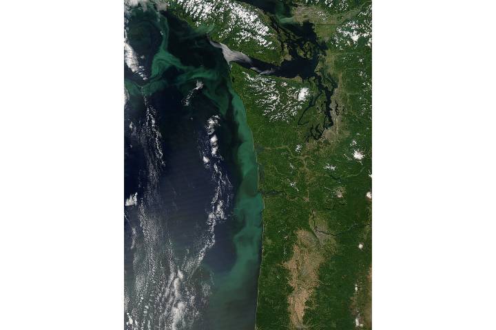 Phytoplankton bloom off the Pacific Northwest - related imagethumbnail