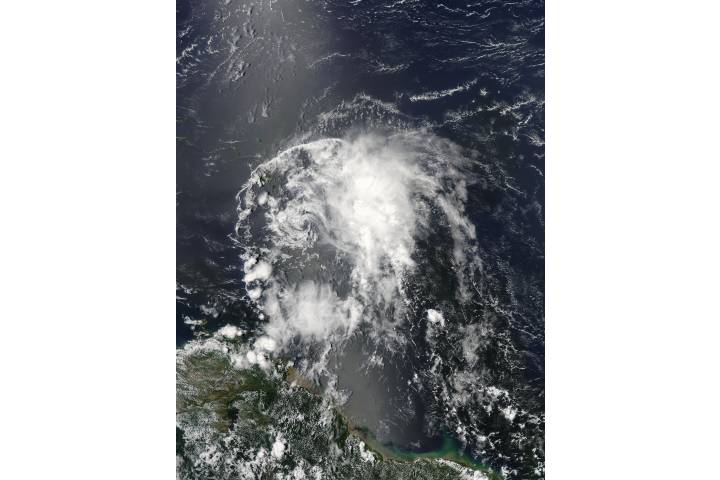 Tropical Storm Bertha (03L) off South America - related imagethumbnail