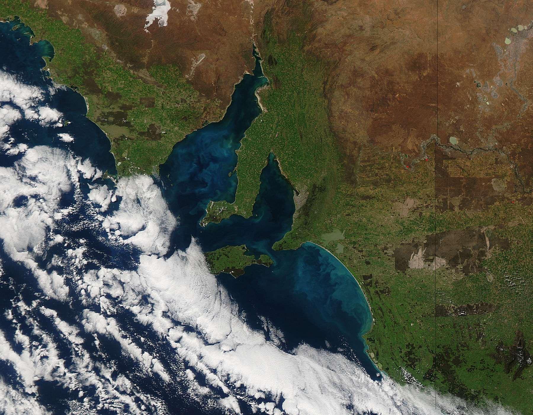 Phytoplankton bloom off Southern Australia - related image preview