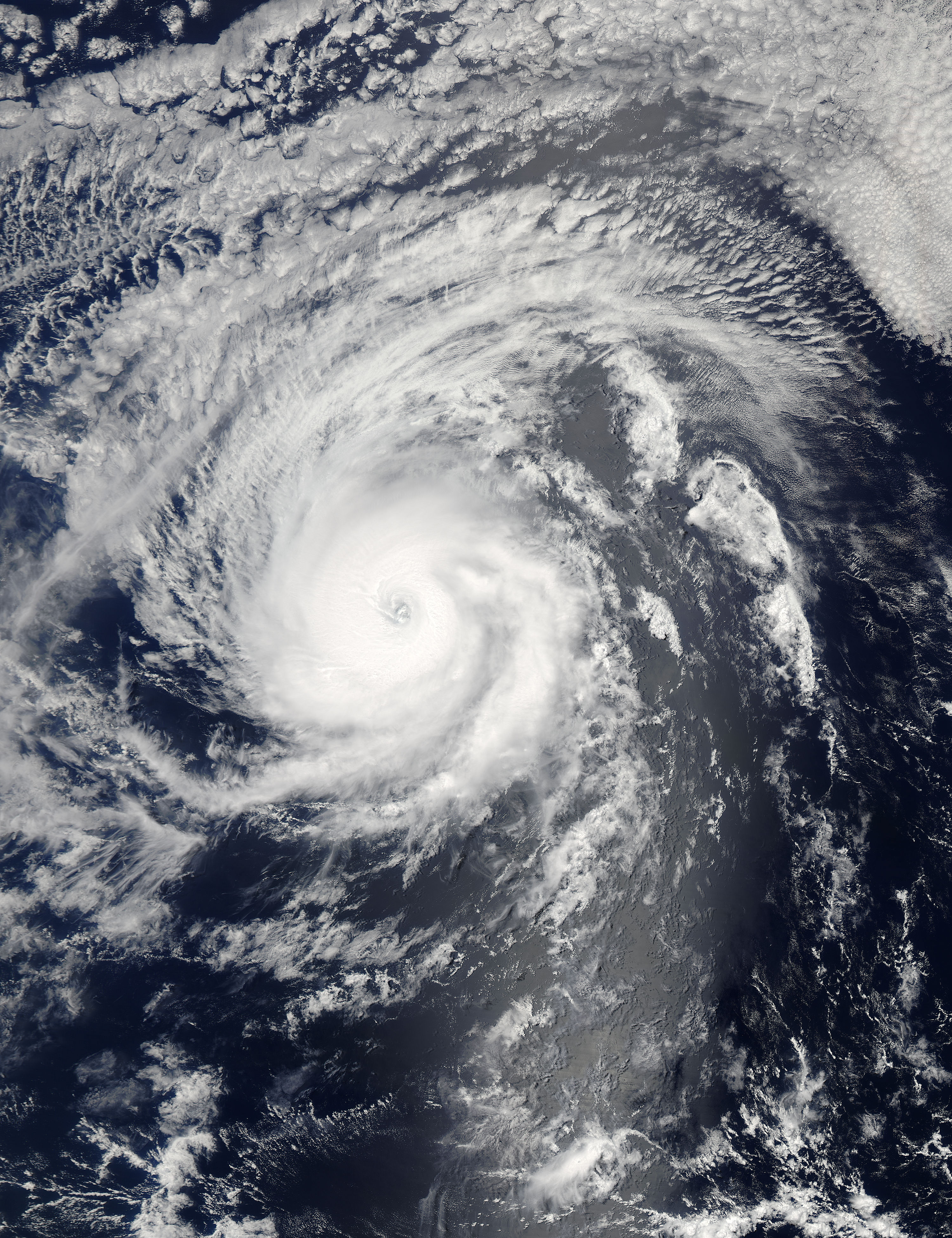 Hurricane Iselle (09E) in the eastern Pacific Ocean