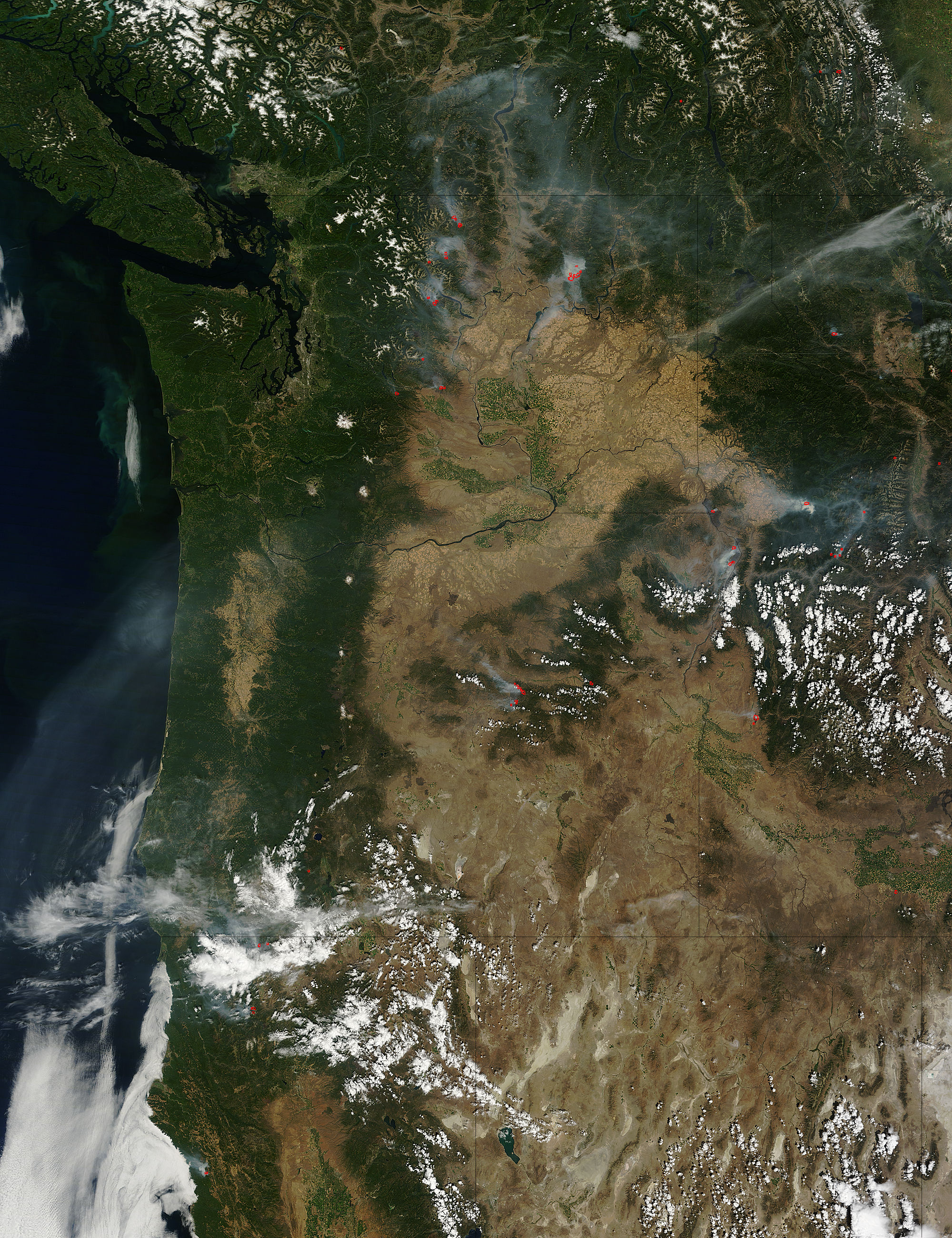 Fires in the Pacific Northwest