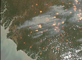Fires in Guinea