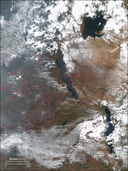 Fires in Southern Africa - related image preview