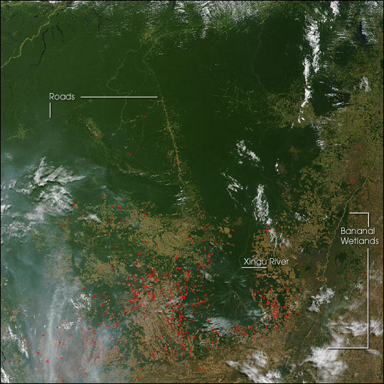 Fires Near Xingu River