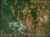 Fires Near Xingu River