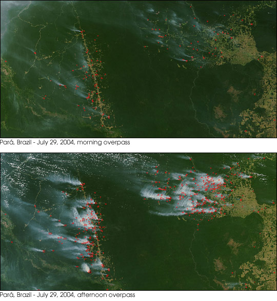 Fires Near Xingu River - related image preview