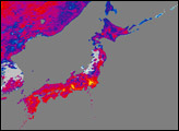 Heat Wave in Japan