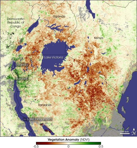 Drought in East Africa