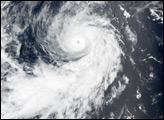 Hurricane Darby