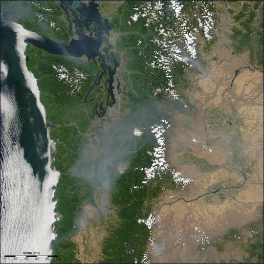 Smoke in the Pacific Northwest