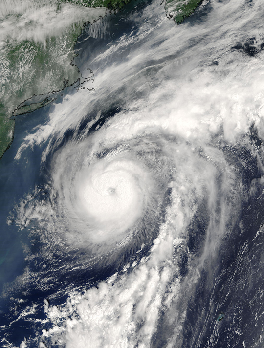 Hurricane Alex - related image preview